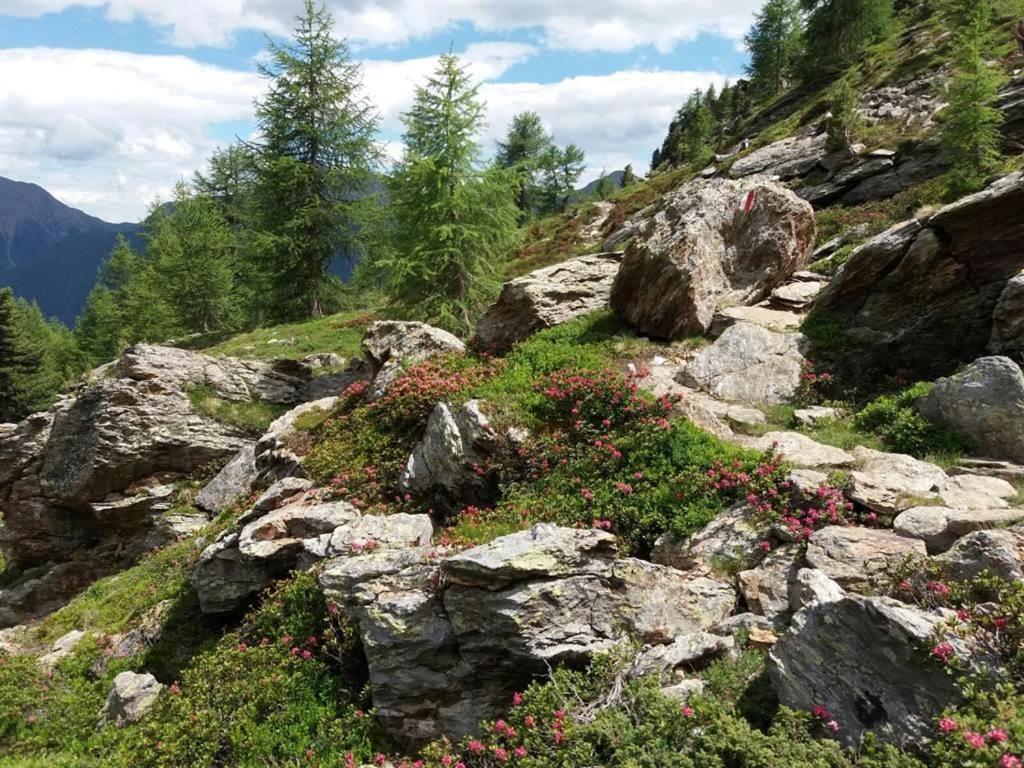 Rudigier Margret Und Franz Apartment Sankt Gallenkirch Luaran gambar